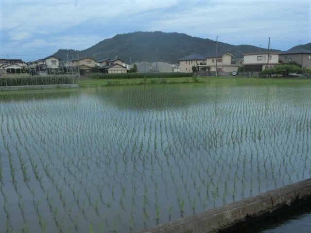 b0297741_17190524.jpg