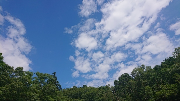 e0145441_21023083.jpg