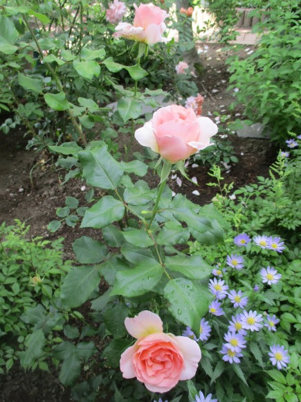 a0279743_06075919.jpg