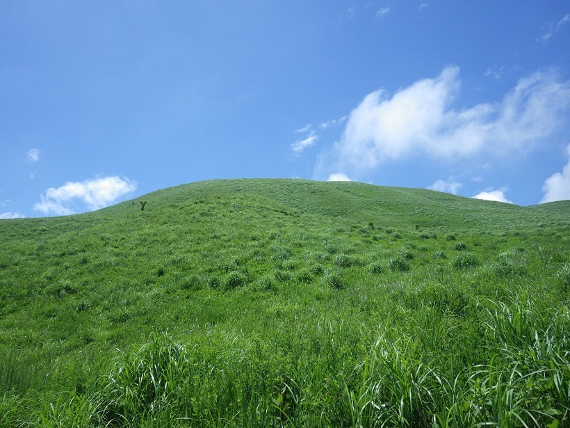 e0164643_22255527.jpg