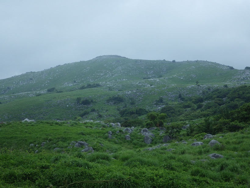 e0164643_22263449.jpg