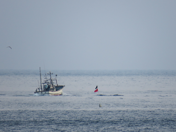 f0214649_03131400.jpg