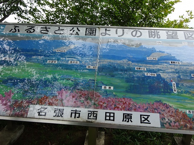 しっとり癒し色あじさいを「、西田原弥勒寺の紫陽花祭り」に歩いてきました。_d0048350_17543096.jpg