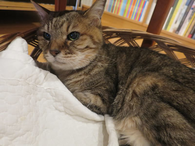 ここからお見送り_e0262651_07333234.jpg