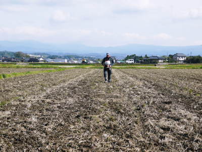 砂田のこだわりれんげ米 田植えの様子(2019)前編 頑固おやじのこだわりの土つくりを継承し育てます_a0254656_17535844.jpg