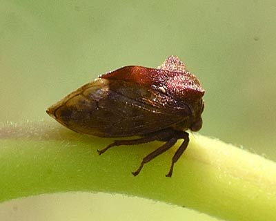 e0035757_20414274.jpg