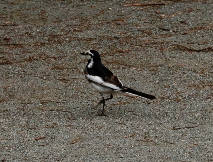 a0248459_14164078.jpg