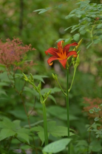 c0186463_00463560.jpg