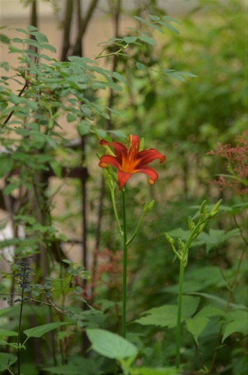 c0186463_00463580.jpg