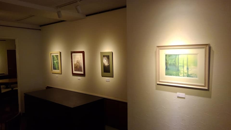 2019 6/28-7/9 鹿児島　水彩画展_f0176370_09195821.jpg