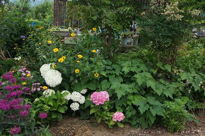 d0179679_13225850.png