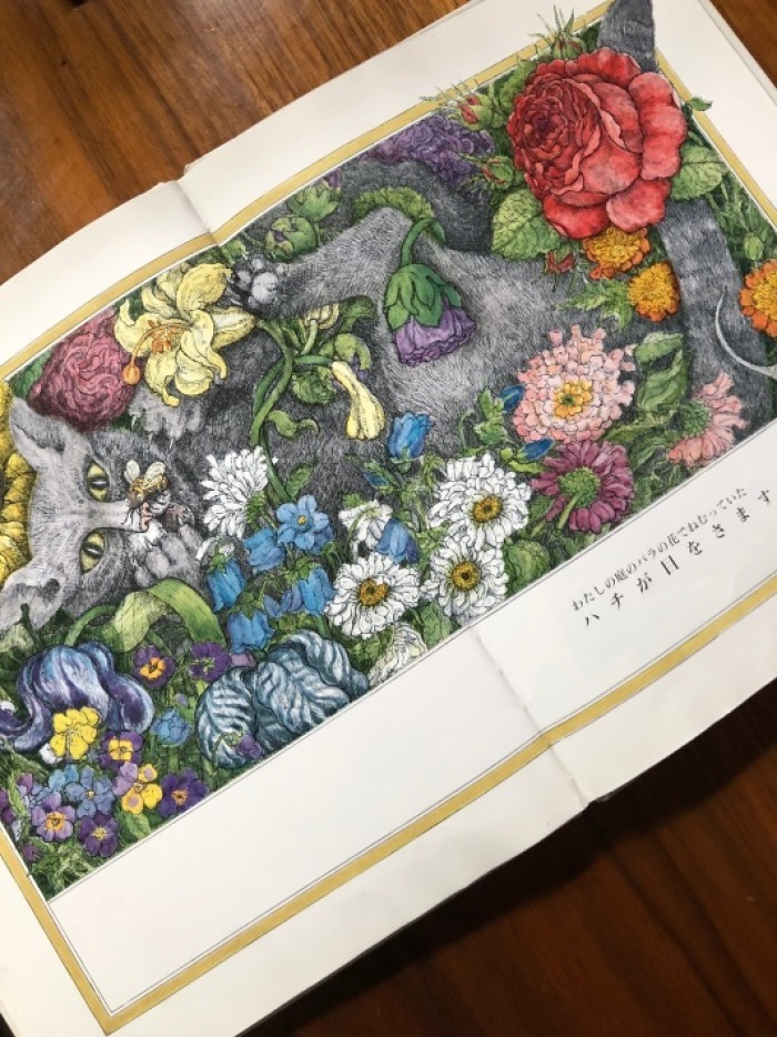 海辺の本棚『わたしの庭のバラの花』 : 海の古書店