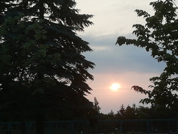 c0212083_19110781.jpg