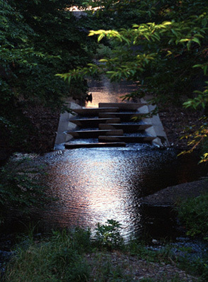 c0386291_18161202.jpg