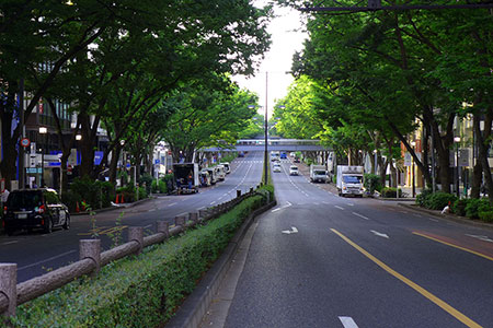 e0157891_19522627.jpg