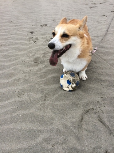 e0123299_01570143.jpeg
