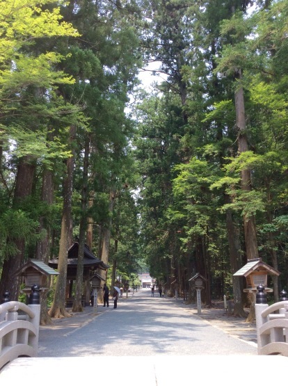 夏至の前の小國神社！ 2019・6月_f0247600_21052188.jpg