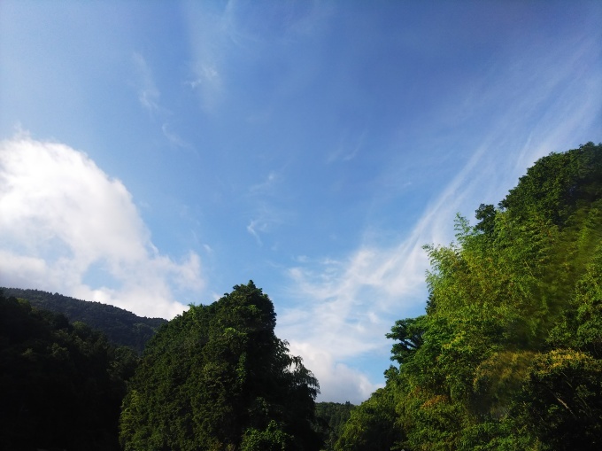 滲んで見えた 275 _b0239402_17063701.jpg