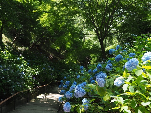 c0366802_13251165.jpg