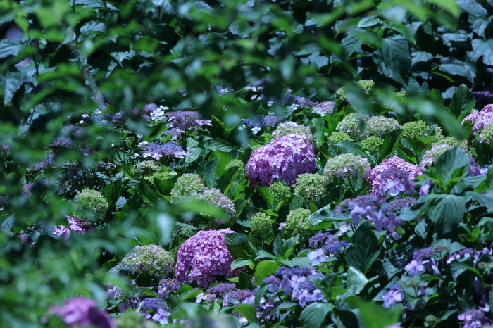 a0355908_15340567.jpg