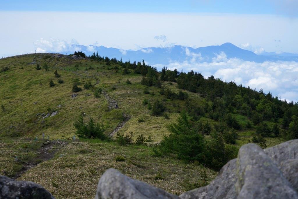 2019/6/25 『湯ノ丸山～烏帽子岳』鮮やかなレンゲツツジと大展望_a0340812_19335530.jpg