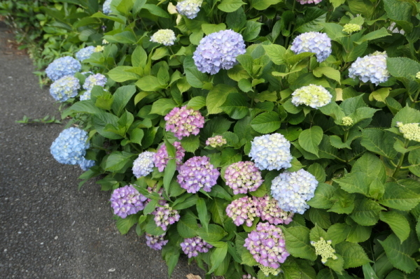 f0369014_19285042.jpg