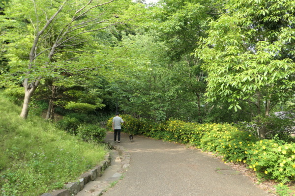 f0369014_19345605.jpg