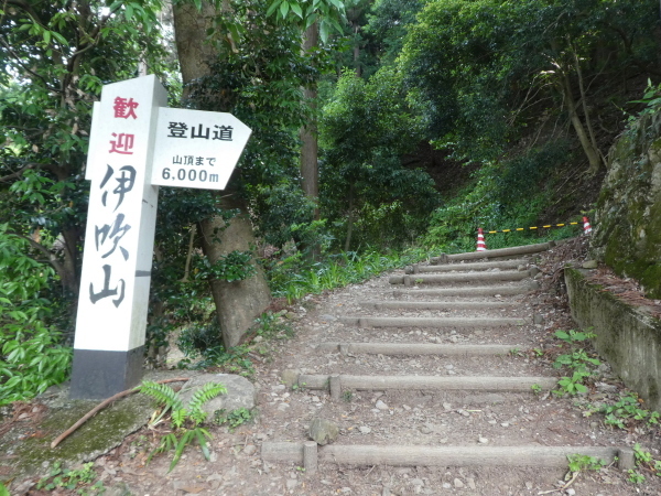 d0170615_20244196.jpg
