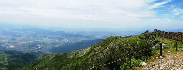 d0170615_20253325.jpg