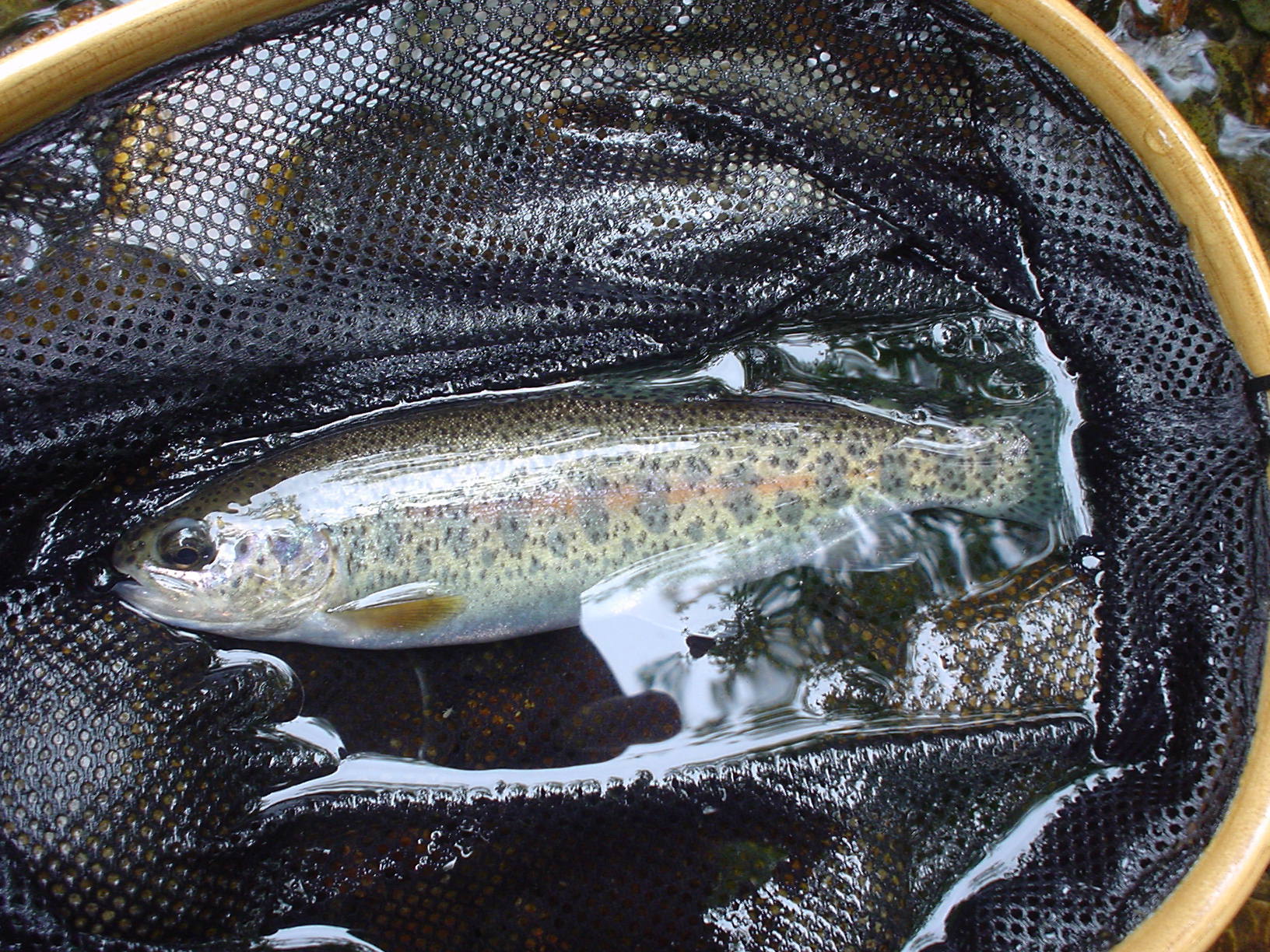 f0280717_13394752.jpg