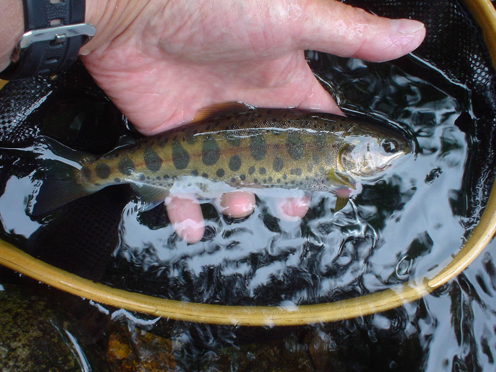 f0280717_13431032.jpg