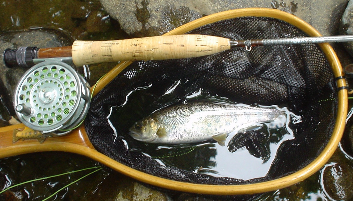 f0280717_13432732.jpg