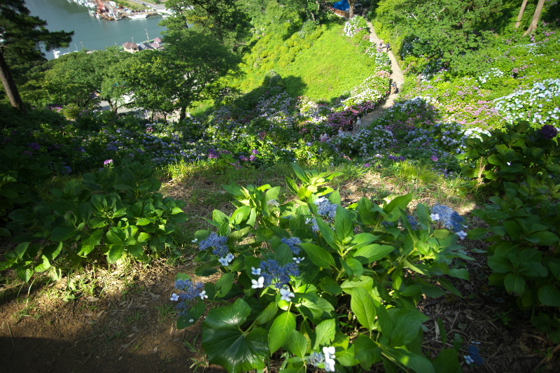 e0362418_11285607.jpg