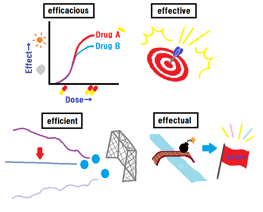 Efficacious Effective Effectual Efficient 英単語資料 1000 Most Important Wordsより