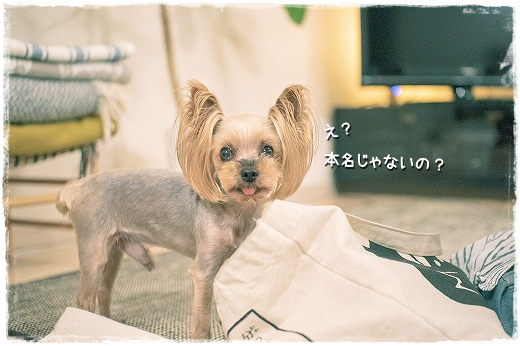 d0179828_16170861.png