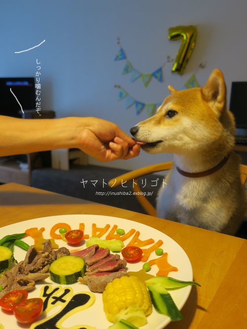 鹿と猪_e0394031_06213958.jpg