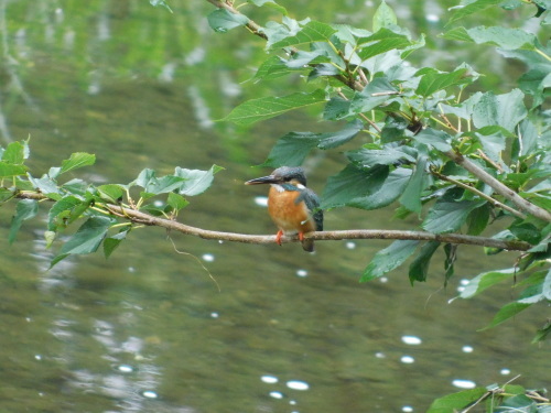 c0338136_21114217.jpg