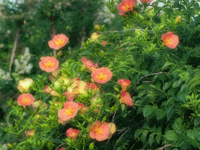 d0290240_13372395.gif