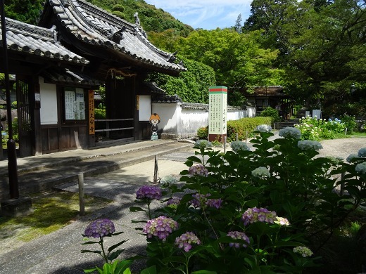 b0299042_21360338.jpg