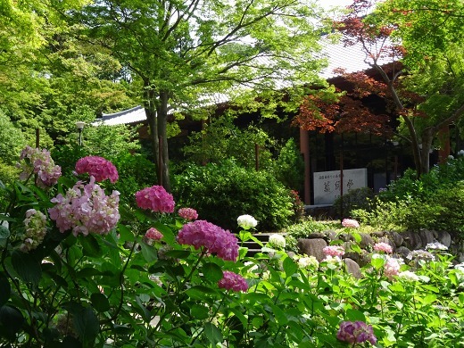 b0299042_21360808.jpg