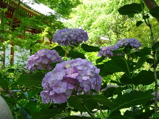 b0299042_21361229.jpg