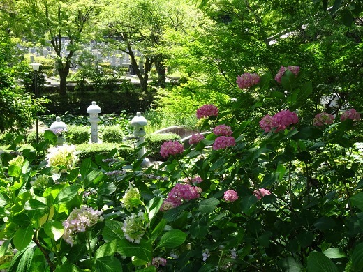 b0299042_21362232.jpg