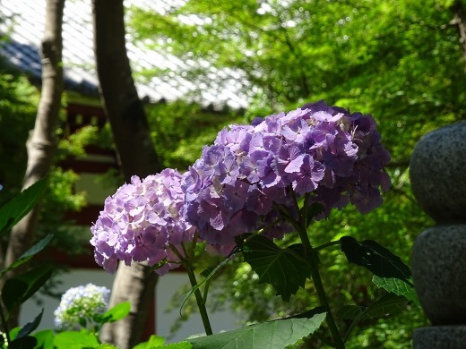b0299042_21414844.jpg