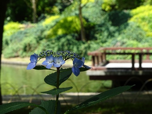 b0299042_21415332.jpg