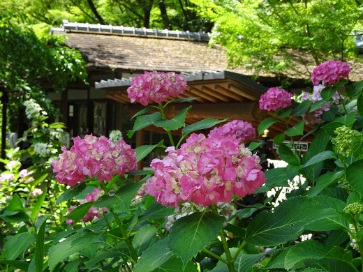 b0299042_21470897.jpg