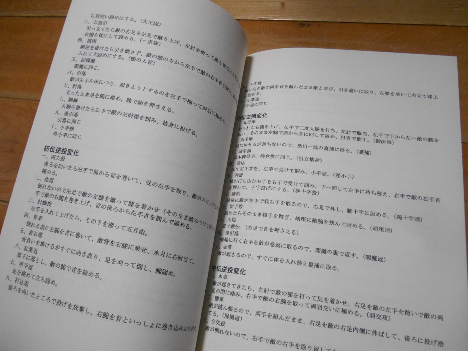 甲陽水月流柔術総手形_b0287744_22231656.jpg