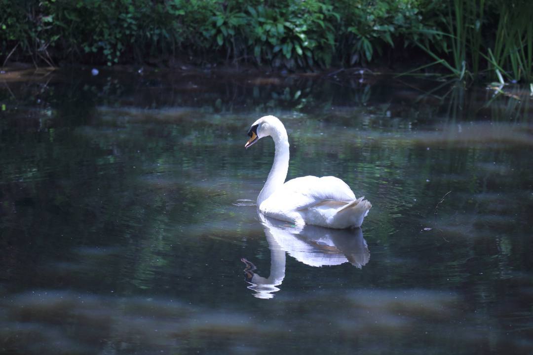 e0403850_23384215.jpg