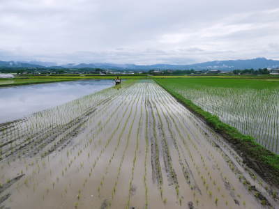 砂田のこだわりれんげ米 田植えの様子(2019)後編 野中兄弟だけの初めての田植え無事終了!_a0254656_17153103.jpg