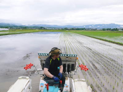 砂田のこだわりれんげ米 田植えの様子(2019)後編 野中兄弟だけの初めての田植え無事終了!_a0254656_17213958.jpg