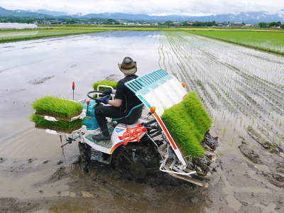 砂田のこだわりれんげ米 田植えの様子(2019)後編 野中兄弟だけの初めての田植え無事終了!_a0254656_17260131.jpg